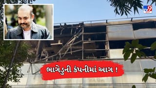Breaking News : ભાગેડુ નિરવ મોદીની સુરતની બંધ જ્વેલરી કંપનીમાં શંકાસ્પદ આગ, દસ્તાવેજો સહિત તમામ વસ્તુઓ બળીને ખાખ