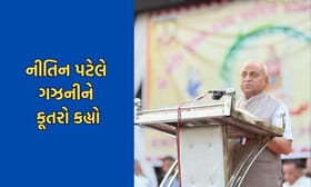 નીતિન પટેલે ગઝનીની સરખામણી કુતરા સાથે કરી- જુઓ Video