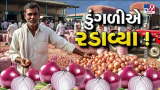 Breaking News : કસ્તુરીએ ખેડૂતોને રડાવ્યા, પાણી કરતા પણ ઓછા મૂલ, પડતા પર પાટુ જેવી સ્થિતિ, જુઓ Video