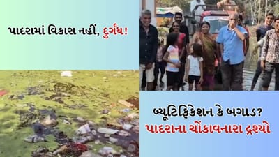 Breaking news: ‘વિકાસ’ના દાવા પર ગટરનું પાણી ફરી વળ્યું ! પાદરાના વોર્ડ-6માં પાંચ મહિનાથી નર્ક જેવી હાલત