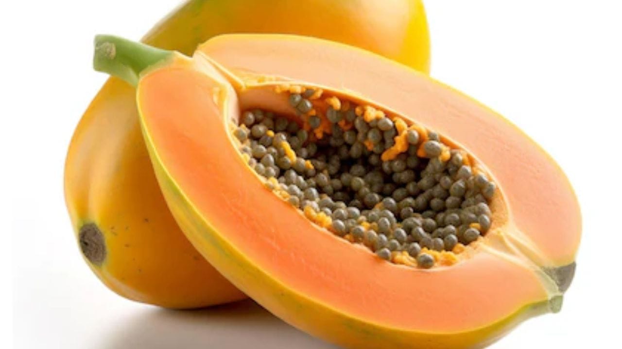 શિયાળામાં પપૈયા ખાવાના ફાયદા: ડૉ. અનામિકા સમજાવે છે કે પપૈયાનો સૌથી મોટો ફાયદો એ છે કે તેમાં ઘણા ઉત્સેચકો હોય છે જે પાચનમાં સુધારો કરે છે. શિયાળામાં શારીરિક પ્રવૃત્તિ ઓછી થવાને કારણે કબજિયાત વધી શકે છે. પપૈયા આંતરડા સાફ કરવામાં મદદ કરે છે. તેથી, શિયાળામાં તેને ખાવાથી કોઈ નુકસાન નથી. પપૈયામાં વિટામિન સી અને એન્ટીઑકિસડન્ટ હોય છે, જે શરદી અને ફ્લૂથી બચવામાં મદદ કરે છે.
