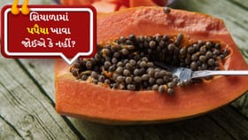 શિયાળામાં પપૈયા: ફાયદા, ગેરફાયદા અને ખાવાની રીત