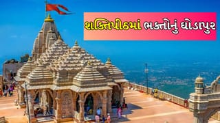 નવા વર્ષની શુભ શરૂઆત ! પાવાગઢમાં માઇભક્તો ભક્તિના રંગમાં રંગાયા, જયઘોષથી ગુંજ્યું શક્તિપીઠ