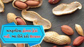 મગફળીના ફોંતરાને ના ફેંકો, તે બહુ કામના છે