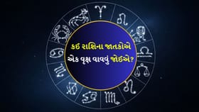 નાણાકીય લાભ થવાની સંભાવના છે, થાક અને તણાવમાંથી રાહત મળશે