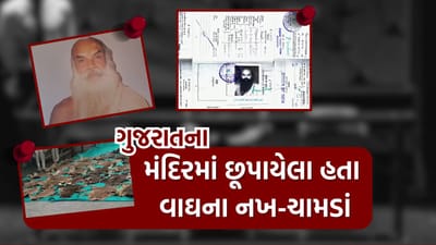 ગુજરાતમાં આ મંદિરના જુના મકાનમાંથી મળ્યા 40થી વધુ વાઘના ચામડા અને 133 નખ, જુઓ Video