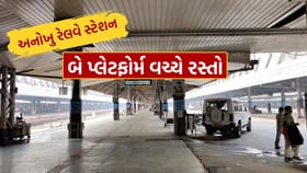 બે પ્લેટફોર્મ વચ્ચે છે રસ્તો, કાર અને ટ્રેન ચાલે છે એકસાથે, જુઓ