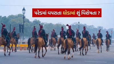 ગણતંત્ર દિવસની પરેડમાં જોવા મળતાં ઘોડા સામાન્ય નથી હોતા. આ ઘોડાઓને ખાસ કરીને તેમની શારીરિક ક્ષમતા, શિસ્ત અને માનસિક મજબૂતીના આધારે પસંદ કરવામાં આવે છે. દેશની સેનાની શાન ગણાતા આ ઘોડાઓ પરેડ દરમિયાન હજારો દર્શકો, ભારે અવાજ, બૅન્ડ વગાડતી ટુકડીઓ અને શસ્ત્રસજ્જ સૈનિકો વચ્ચે પણ સંપૂર્ણ નિયંત્રણ અને સંતુલન જાળવી રાખે છે.