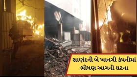 અમદાવાદ: સાણંદની ચાંગોદર નજીક બે ખાનગી કંપનીમાં ભીષણ આગ