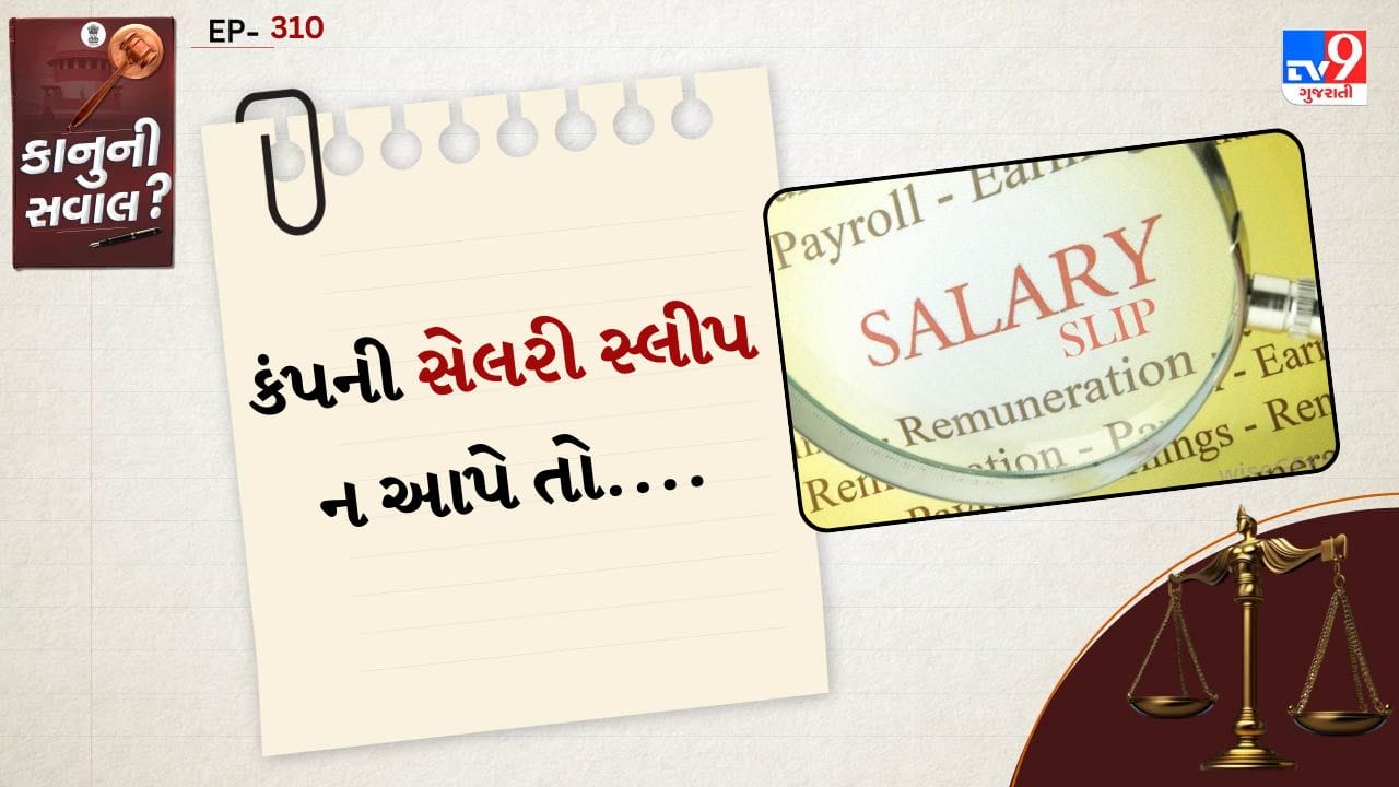 સેલરી સ્લીપ માત્ર એક કાગળ નથી, પરંતુ કર્મચારીના હક્કનો મહત્વનો ડોક્યુમેન્ટ્સ છે. તેમાં મૂળ પગાર, ભથ્થાં, PF, ESI, ટેક્સ કટોકટી સહિતની તમામ વિગતો સમાવિષ્ટ હોય છે. લોન લેતી વખતે, ઇન્કમ ટેક્સ રિટર્ન ભરતી વખતે, નવી નોકરીમાં જોડાતાં કે કોઈ કાનૂની વિવાદ સમયે સેલરી સ્લીપ ખૂબ જ જરૂરી બની જાય છે.
