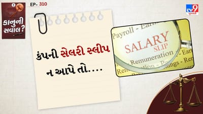 સેલરી સ્લીપ માત્ર એક કાગળ નથી, પરંતુ કર્મચારીના હક્કનો મહત્વનો ડોક્યુમેન્ટ્સ છે. તેમાં મૂળ પગાર, ભથ્થાં, PF, ESI, ટેક્સ કટોકટી સહિતની તમામ વિગતો સમાવિષ્ટ હોય છે. લોન લેતી વખતે, ઇન્કમ ટેક્સ રિટર્ન ભરતી વખતે, નવી નોકરીમાં જોડાતાં કે કોઈ કાનૂની વિવાદ સમયે સેલરી સ્લીપ ખૂબ જ જરૂરી બની જાય છે.
