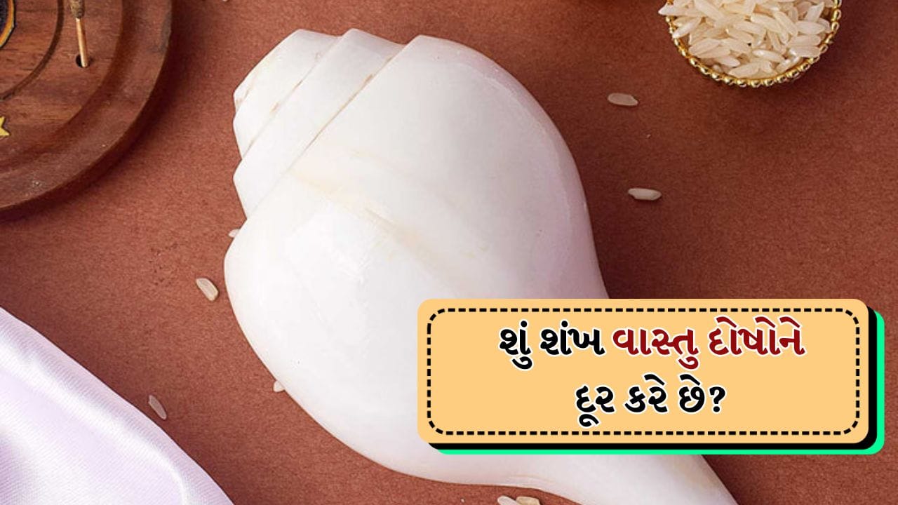 જો ઘરનો વાસ્તુ યોગ્ય ન હોય તો વાસ્તુ દોષ થાય છે અને તેના કારણે જીવનમાં અનેક પ્રકારની સમસ્યાઓ આવવા લાગે છે. તમને જણાવી દઈએ કે આ દોષ ત્યારે થાય છે જ્યારે ઘર યોગ્ય દિશામાં બનાવવામાં ન આવે અને કોઈપણ પ્રકારના વાસ્તુ નિયમનું પાલન ન કરવામાં આવે. આના કારણે જીવનમાં ઘણીવાર તણાવની સ્થિતિ રહે છે.