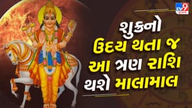 1 ફેબ્રુઆરીથી બદલાશે નસીબ ! શુક્રના ઉદય સાથે આ રાશિઓને મળશે રાજયોગ