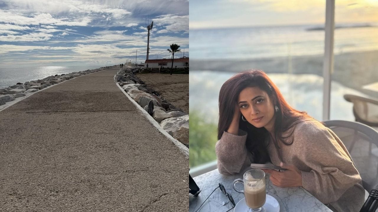 લુકને કમ્પ્લીટ કરવા માટે અભિનેત્રીએ બ્લેક સનગ્લાસ પહેર્યા છે અને ગોલ્ડન હૂપ ઇયરિંગ્સ પસંદ કરી છે. મેકઅપ માટે શ્વેતાએ ન્યૂડ લિપસ્ટિક અને બ્રાઉન આઈશેડો સાથે નો-મેકઅપ લુક અપનાવ્યો છે, જ્યારે ઓપન હેર રાખીને તેણે લુકને સરળ અને આકર્ષક બનાવ્યો છે.