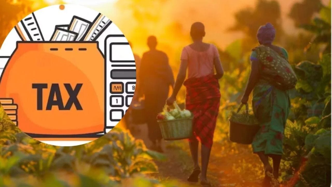 ભારતમાં ખેતીની જમીનમાંથી થતી આવક કલમ 10(1) હેઠળ સંપૂર્ણપણે ટેક્સ-ફ્રી હોય છે. આમાં ખેતીની જમીનનું ભાડું, શાકભાજી, ફળો, અનાજ અને મસાલા જેવા પાકોના વેચાણમાંથી થતી આવક તેમજ ગ્રામીણ ખેતીની જમીનના વેચાણમાંથી થતો નફો જોડાયેલો હોય છે. જો કે, વિદેશી જમીનમાંથી થતી ખેતીની આવક ભારતમાં સંપૂર્ણપણે ટેક્સેબલ છે.