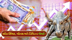 રોકાણકારોને મોજ! આવતા અઠવાડિયે આ 8 કંપની મોટી જાહેરાત કરશે