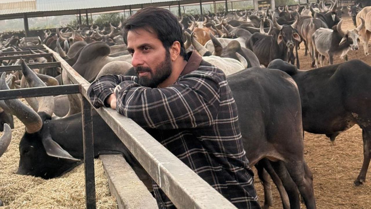 તમને જણાવી દઈએ કે, કોરોના મહામારી દરમિયાન સોનુ સુદે પ્રવાસી મજુરોને પોતાના ઘરે પહોંચાડ્યા હતા. તેમજ તેમને જમવાનું , ઓક્સિજન સિલેન્ડર તેમજ અન્ય દવાઓ પણ પુરી પાડી હતી. જેને અસલી હીરો કહેવામાં આવે છે.