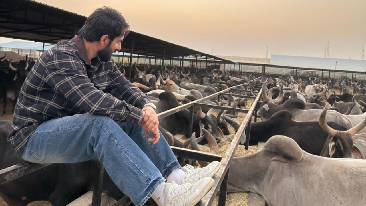 આ પહેલ વિશે બોલતા, સોનુ સૂદે આશ્રયસ્થાનની સફર માટે પ્રશંસા કરતા કહ્યું, “જ્યારે હું તેમની સફર જોઉં છું, જે ફક્ત થોડી ગાયોથી શરૂ થઈ હતી અને હવે સાત હજાર સુધી પહોંચી ગઈ છે, ત્યારે તે ખૂબ જ ગર્વની વાત છે, 