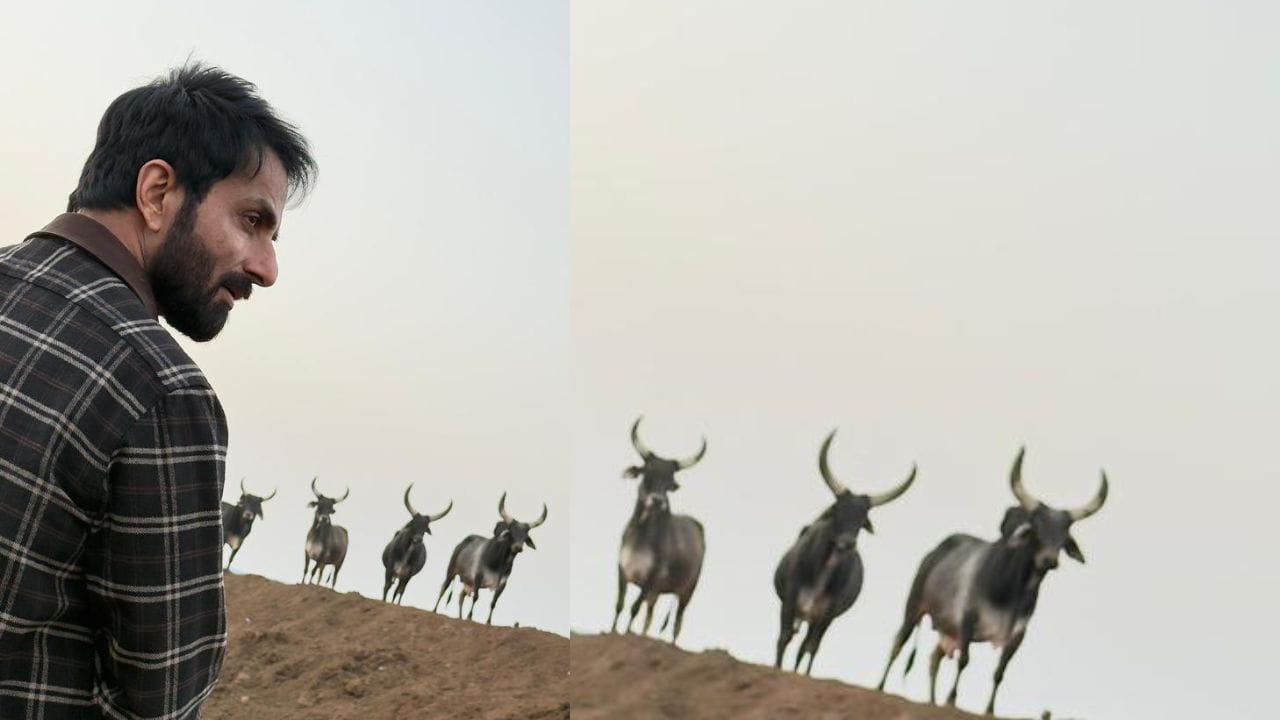 જે એવા સ્તરે કાર્યરત છે જેને સતત સંસાધનો અને સતત સહાયની જરૂર હોય છે.સોનુ સુદ ગૌશાળાના સંચાલકો દ્વારા કરવામાં આવતી સેવાકીય પ્રવ-તિઓથી પ્રભાવિત થયા હતા.