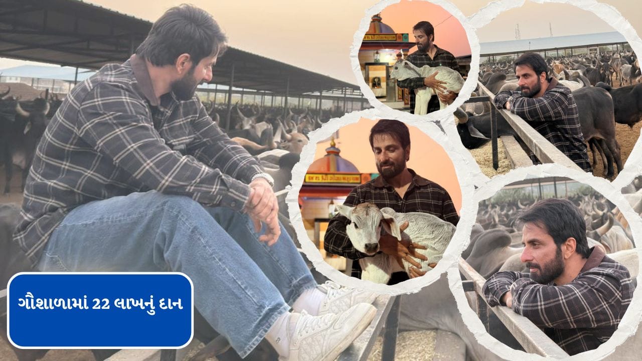 આ ગૌશાળામાં લગભગ 7,000 ગાયો રહે છે અને ત્યજી દેવાયેલા, ઘાયલ અને બચાવેલા પ્રાણીઓની સંભાળ, રક્ષણ અને ગૌરવ પૂરું પાડે છે