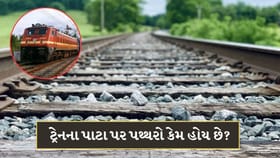 ટ્રેનના પાટા પર પથ્થરો કેમ હોય છે? જાણો તેનું કામ શું છે