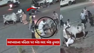 Bull Attack : અંકલેશ્વરમાં આખલાના આતંકના ભયાનક દ્રશ્યો, રૂવાડા ઊભા થઈ જશે, જુઓ Video