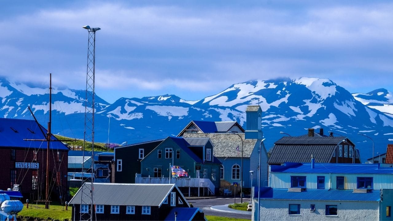 આસ્કઓકલેન્ડ પાસે એક ઓનલાઈન સહાય કેન્દ્ર છે જે અરજી પ્રક્રિયા, જરૂરી દસ્તાવેજો અને પાત્રતા વિશેના તમામ પ્રશ્નોના જવાબ આપે છે. અરજદારોને સામાન્ય રીતે શૈક્ષણિક ટ્રાન્સક્રિપ્ટ, ભારતીય નાગરિકતાનો પુરાવો અને તેઓ જે કોર્સમાં પ્રવેશ મેળવવા માંગે છે તેની વિગતોની જરૂર હોય છે.