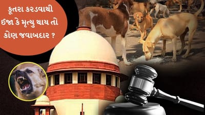 Breaking News : કૂતરા કરડવાથી ઈજા કે મૃત્યુ થાય તો કૂતરાનો માલિક જવાબદાર રહેશે,જાણો સુપ્રીમ કોર્ટમાં આજની સુનાવણીમાં શું થયું?