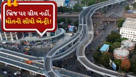 Breaking News: બ્રિજ પર ગ્રીલ નહીં, મોતની સીધી એન્ટ્રી!