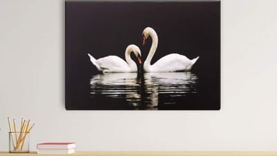 દરેક ઘર અને તેમાં રહેલી દરેક વસ્તુ કોઈને કોઈ રીતે વાસ્તુ સાથે જોડાયેલી હોય છે. ઘર બનાવતી વખતે અથવા ઘરમાં કંઈક લાવતી વખતે, બધું વાસ્તુ અનુસાર છે તેની ખાતરી કરવી હંમેશા શક્ય નથી. વાસ્તુ શાસ્ત્રમાં, ચોક્કસ છબીઓ અથવા આકૃતિઓને અત્યંત શુભ માનવામાં આવે છે, અને આ છબીઓ અથવા આકૃતિઓ ઘરમાં મૂકવાથી આપમેળે વાસ્તુ ખામીઓ દૂર થાય છે. જો કે, કોઈપણ છબી અથવા આકૃતિની દિશા સાચી છે તેની ખાતરી કરવી મહત્વપૂર્ણ છે.