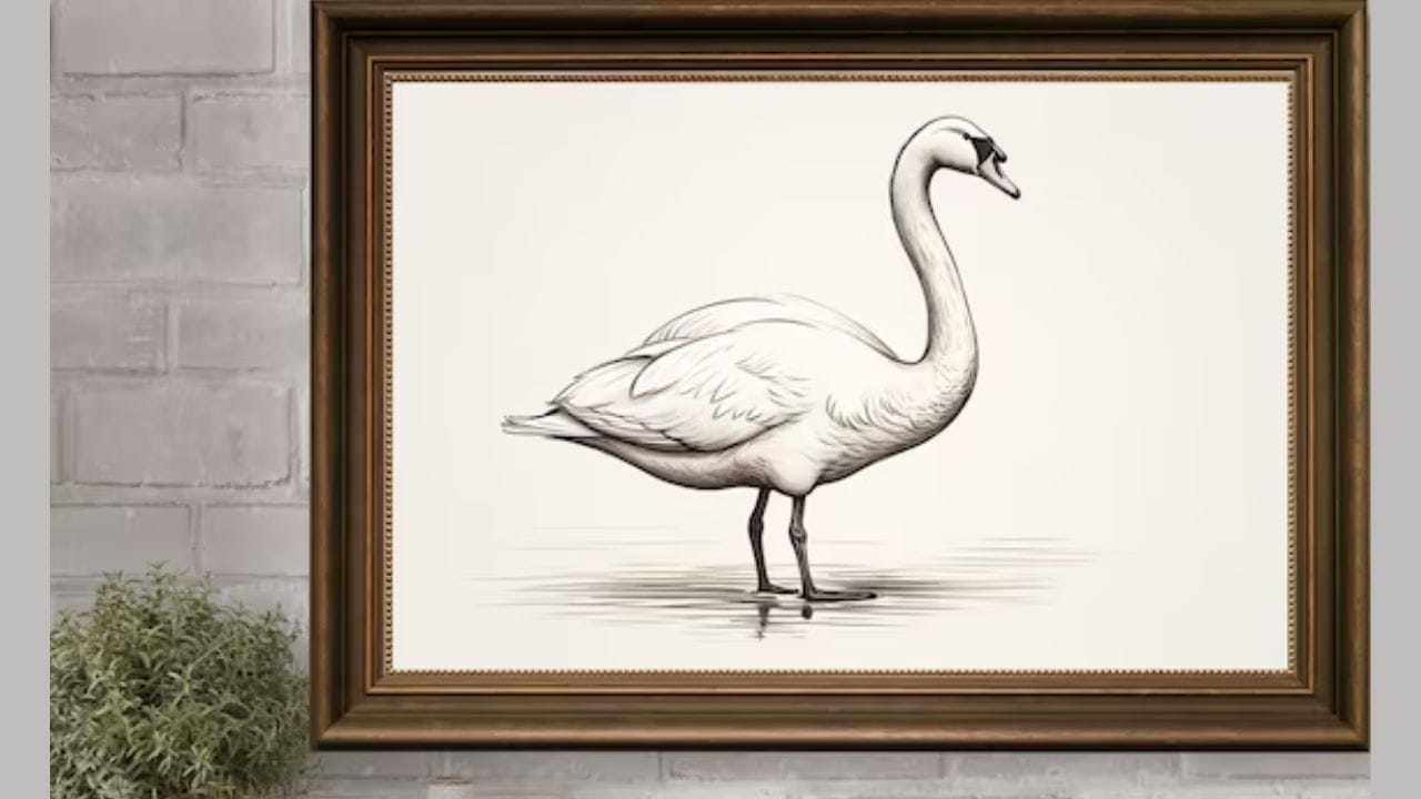 જો તમે નાણાકીય લાભ ઇચ્છતા હો, તો તમારા ડ્રોઇંગ રૂમ અથવા ગેસ્ટ રૂમમાં હંસનો ફોટો લગાવો. તમે હંસની જોડી અથવા એક જ હંસનો ફોટો પણ મૂકી શકો છો.