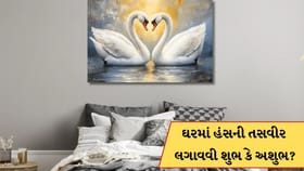 ઘરમાં હંસની જોડી વાળી તસવીર લગાવવાથી શું થાય છે? જાણો વાસ્તુ લાભ