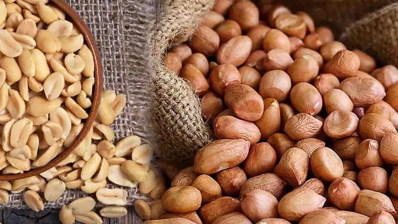 મગફળીની એલર્જી એક સામાન્ય સમસ્યા છે. મગફળી ખાવાથી ત્વચા પર ફોલ્લીઓ, ખંજવાળ, ઝાડા અને શ્વાસ લેવામાં તકલીફ થઈ શકે છે. આથી, જો તમને મગફળી ખાધા પછી ફોલ્લીઓ કે સોજો આવે છે, તો તેને તમારા આહારમાંથી દૂર કરવાનું વિચારો.