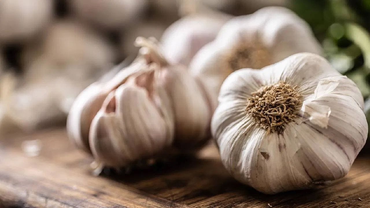 લસણ મેટાબોલિઝમ વધારવા અને શરીરમાં જમેલી વધારાની ચરબી ઘટાડવામાં મદદ કરે છે. ખાલી પેટ તેનું સેવન કરવાથી ભૂખ પણ નિયંત્રિત રહે છે, જે વજન ઘટાડવામાં મદદરૂપ થાય છે. આ સિવાય લસણમાં એન્ટી-ઇન્ફ્લેમેટરી ગુણધર્મો હોય છે, જે શરીરમાં સોજો અને દુખાવો ઘટાડવામાં મદદ કરે છે. તે સાંધાના દુખાવા અને આર્થરાઇટિસમાં પણ લાભદાયક છે.