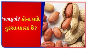 આ 5 લોકોએ ભૂલથી પણ 'મગફળી'નું સેવન ન કરવું જોઈએ