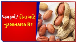 ‘મગફળી’ ફાયદાકારક જ નહીં પરંતુ નુકસાનકારક પણ છે, આ 5 લોકોએ ભૂલથી પણ તેનું સેવન ન કરવું જોઈએ
