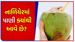નાળિયેરની અંદર પાણી ક્યાંથી આવે છે? કેવી રીતે બને છે આ કુદરતી પીણું? જાણો આ અદ્ભુત ચમત્કાર પાછળનું સંપૂર્ણ રહસ્ય