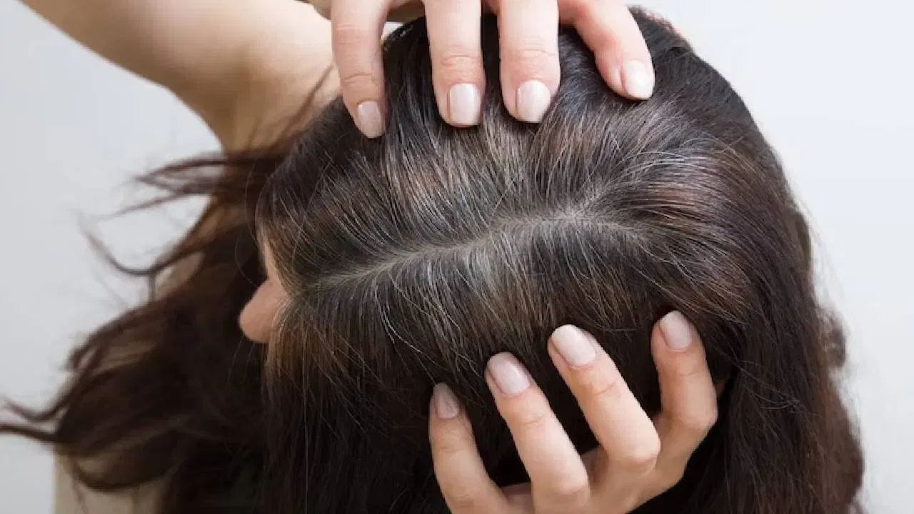 જો તમે નેચરલી રીતે તમારા વાળ કાળા કરવા માંગતા હોવ, તો આમળા અને શિકાકાઈ એક બેસ્ટ વિકલ્પ છે. તેના પાવડરને સમાન માત્રામાં લો અને પાણી અથવા દહીં સાથે ભેળવીને પેસ્ટ બનાવો. આ પેસ્ટને તમારા વાળ અને માથાની ચામડી પર લગાવો, ત્યારબાદ તેને 25-30 મિનિટ માટે રહેવા દો. નોંધપાત્ર ફાયદા માટે અઠવાડિયામાં બે વાર આનો ઉપયોગ કરો.