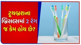 ટૂથબ્રશની શોધ કોણે કરી અને તેના બ્રિસલ્સમાં 2 રંગ કેમ હોય છે?