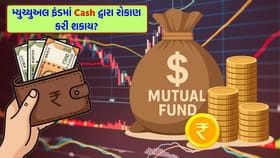 મ્યુચ્યુઅલ ફંડમાં શું રોકડથી પણ રોકાણ કરી શકાય છે?