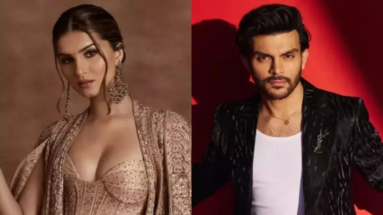 વીરે વાયરલ વીડિયોને નકલી ગણાવ્યો હતો અને લોકોને આવા વીડિયો પર વિશ્વાસ ન કરવા વિનંતી કરી હતી. સોશિયલ મીડિયા ઇન્ફ્લુએન્સર ઓરીએ પણ આ જ મુદ્દા પર એક વીડિયો શેર કર્યો હતો, જેમાં તારા અને એપી સ્ટેજ પર ડાન્સ કરતા જોવા મળ્યા હતા જ્યારે વીર નીચે પ્રેક્ષકોમાં પોતાની મજા માણતા જોવા મળ્યા હતા. નોંધનીય છે કે વીર અને તારાએ 2025 માં તેમના સંબંધોને સત્તાવાર રીતે જાહેર કર્યા હતા. વીર સાથે ડેટ કરતા પહેલા, તારા આદર જૈનને ડેટ કરી રહી હતી.