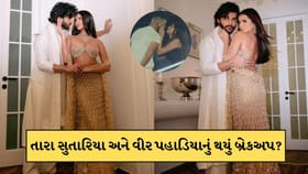 તારા સુતારિયા અને વીર પહાડિયાનું થયું બ્રેકઅપ?કોઝી કોનસર્ટ બન્યું કારણ