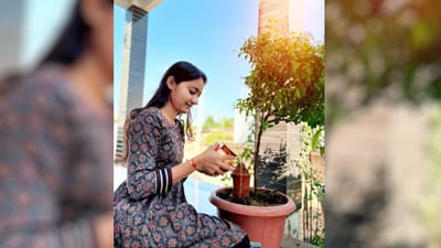 હિન્દુ ધર્મમાં તુલસીના છોડને અત્યંત પવિત્ર માનવામાં આવે છે. લગભગ દરેક ઘરમાં તુલસી વાવેલી જોવા મળે છે અને તેની નિયમિત પૂજા કરવામાં આવે છે. જો તમારા ઘરે પણ તુલસીનો છોડ હોય, તો તેની યોગ્ય દેખભાળ જરૂરી બને છે. ખાસ કરીને શિયાળાની ઋતુમાં તુલસીના છોડ ઝડપથી સૂકાવા લાગે છે. ઘણા ઘરોમાં તુલસી પર મેલીબગ્સ જેવી જીવાતોનો ઉપદ્રવ થતો હોય છે. આવી સ્થિતિમાં, એક સરળ ઘરેલું ઉપાય અપનાવીને તમે તમારા તુલસીના છોડની હરિયાળી ફરી પાછી મેળવી શકો છો.