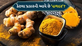 હળદરના કેટલા પ્રકારો હોય છે? દરેકના ઉપયોગો જાણો