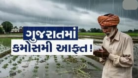 ભર શિયાળે રાજ્યના 3 જિલ્લામાં માવઠાનું યલો એલર્ટ