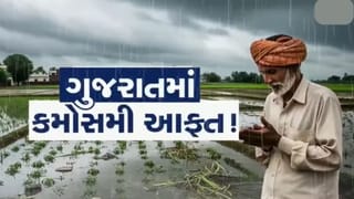 Breaking News : રાજ્યના 3 જિલ્લામાં માવઠાનું યલો એલર્ટ, વીજળીના કડાકા સાથે વરસાદ પડી શકે :હવામાન વિભાગ