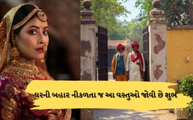 ઘરની બહાર નીકળતા જ દેખાય છે આ વસ્તુઓ, તો સમજજો કે સફળતા મળશે