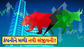 ભારતીય ટેલિકોમ્યુનિકેશન કંપનીને સરકાર તરફથી રાહત! શેર ચર્ચામાં આવ્યા