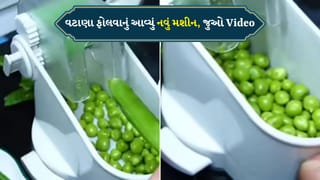 Viral Video : માર્કેટમાં વટાણા ફોલવાનું આવ્યું નવું મશીન, Video જોઈને લોકોએ કહ્યું-ફાલતું છે