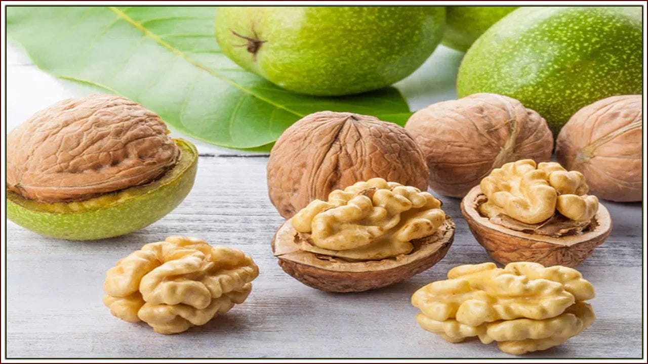 અખરોટ હેલ્ધી ફેટથી ભરપૂર હોય છે પરંતુ સામે તેમાં કેલરી પણ વધારે હોય છે. જો તમે વેઇટ લોસ ડાયટ પર છો અને આડેધડ અખરોટ ખાઈ રહ્યા છો, તો વજન વધવાની શક્યતા વધી શકે છે.